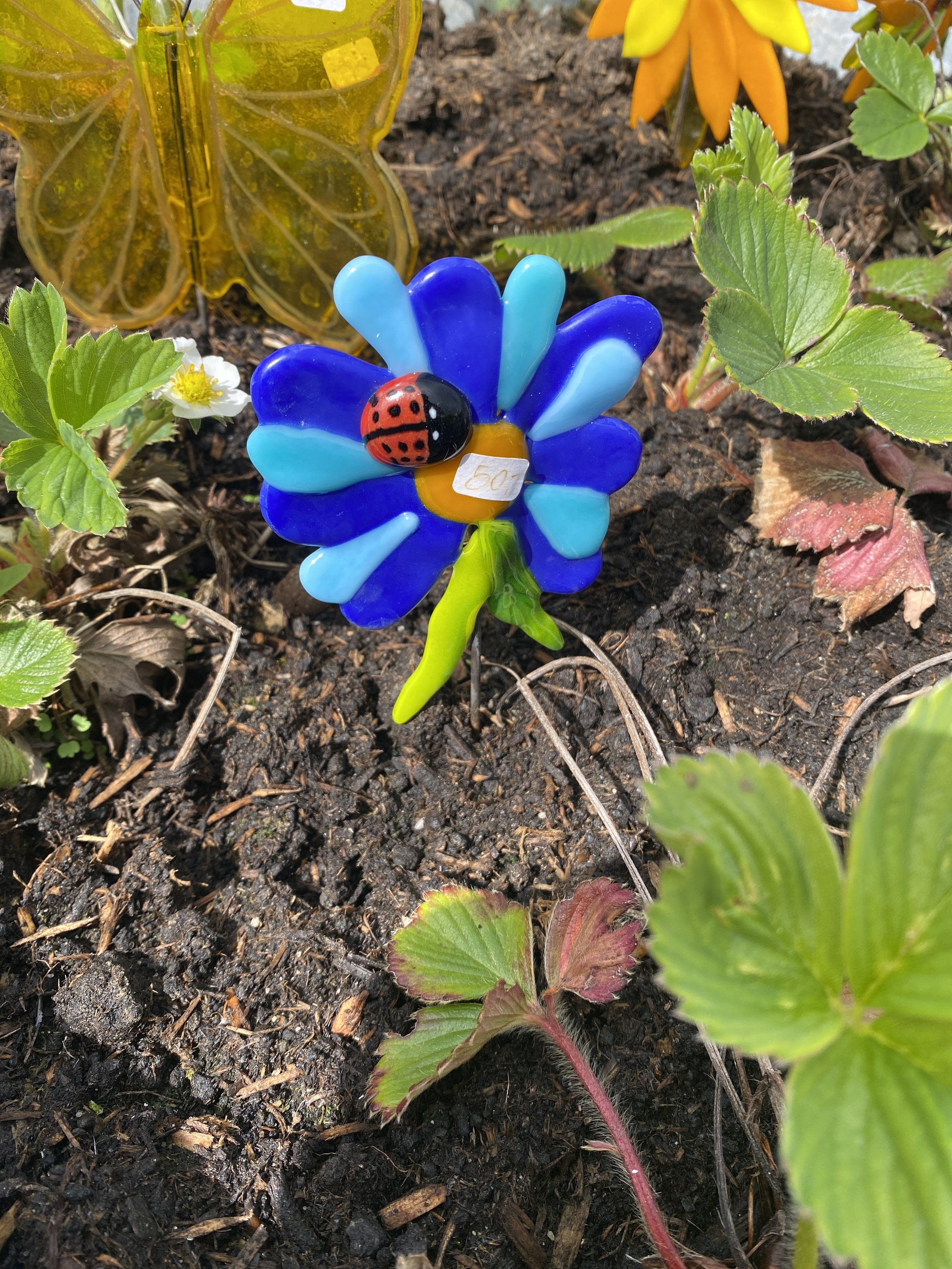 Blå blomst med mariehøne