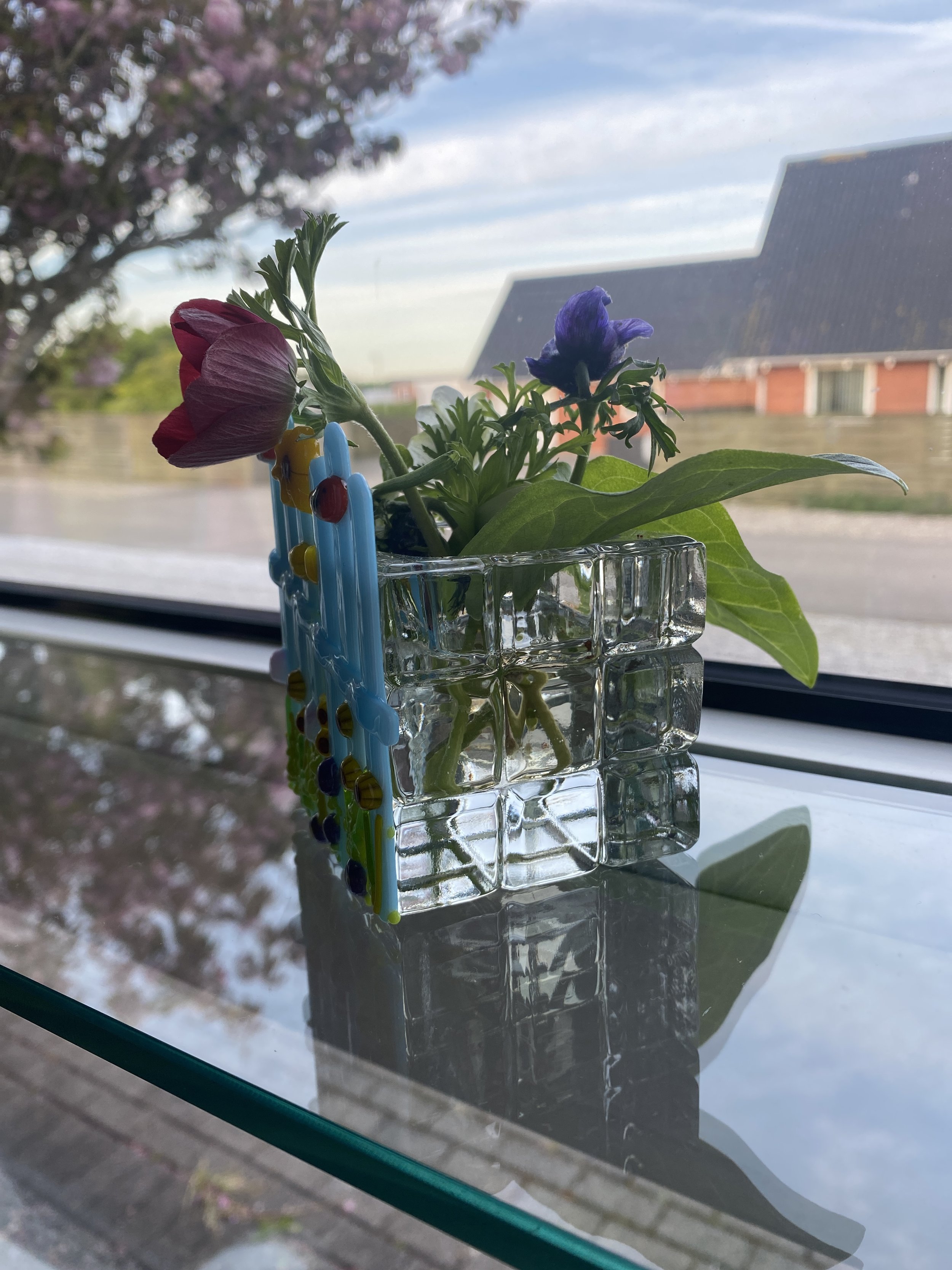 Lyseblåt stakit i fuldt flor