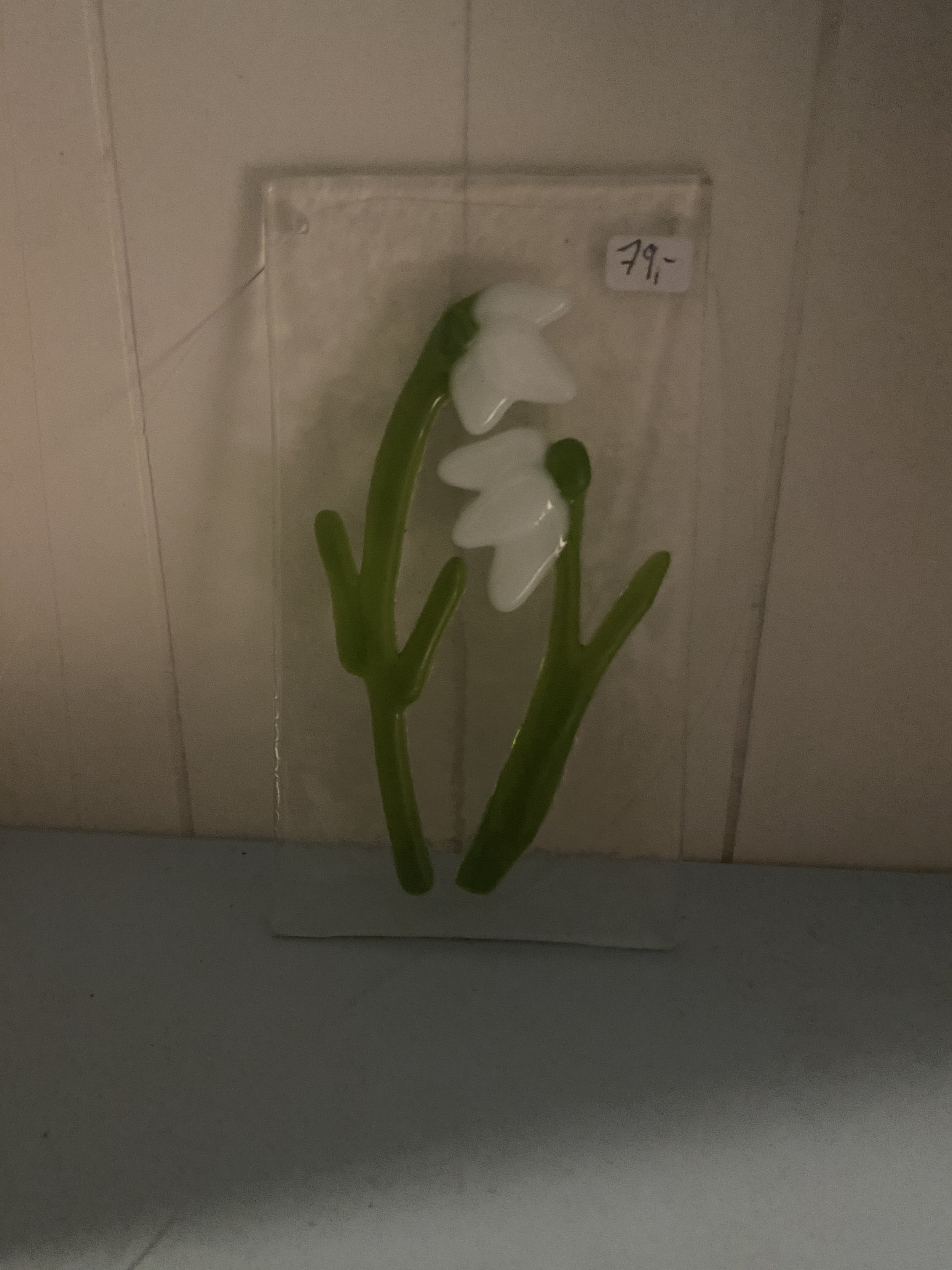 Ophæng med vintergækker