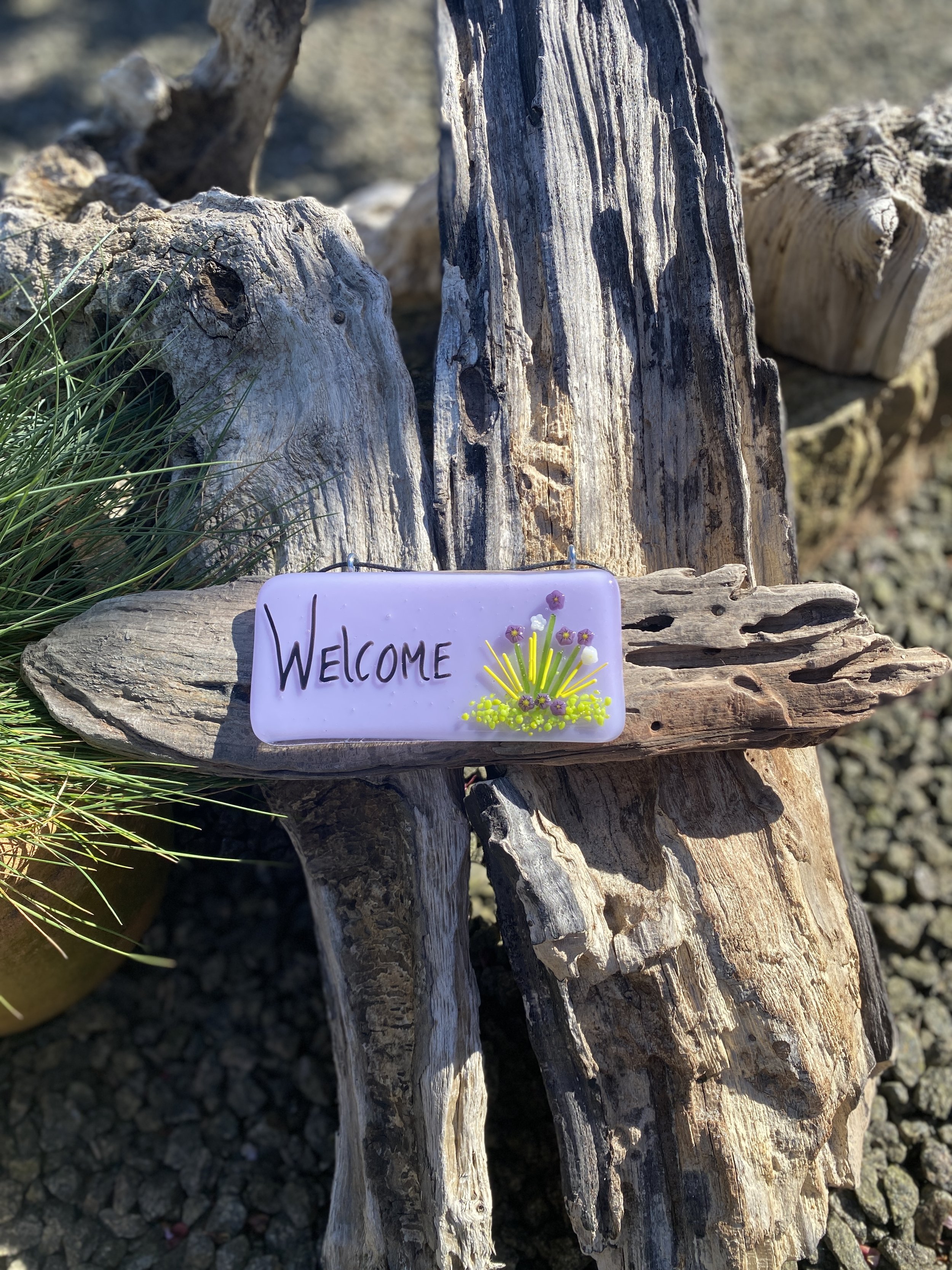 Welcome on driftwood